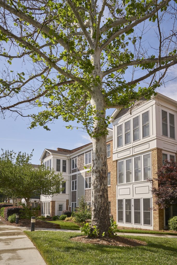 Exterior view of the Carolina Meadows apartments